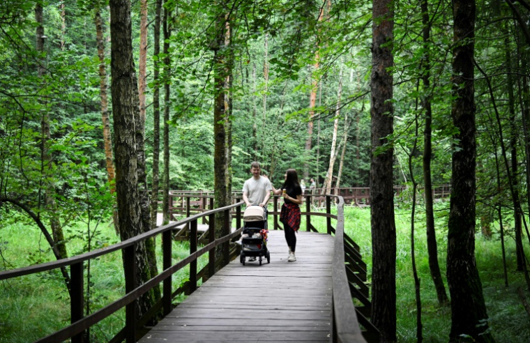 Des promeneurs dans le parc national Lossinyï Ostrov, près de Moscou, le 2 août 2025 ( AFP / Alexander NEMENOV )