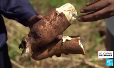 Une prison prend feu à Gitega au Burundi, au moins 38 morts