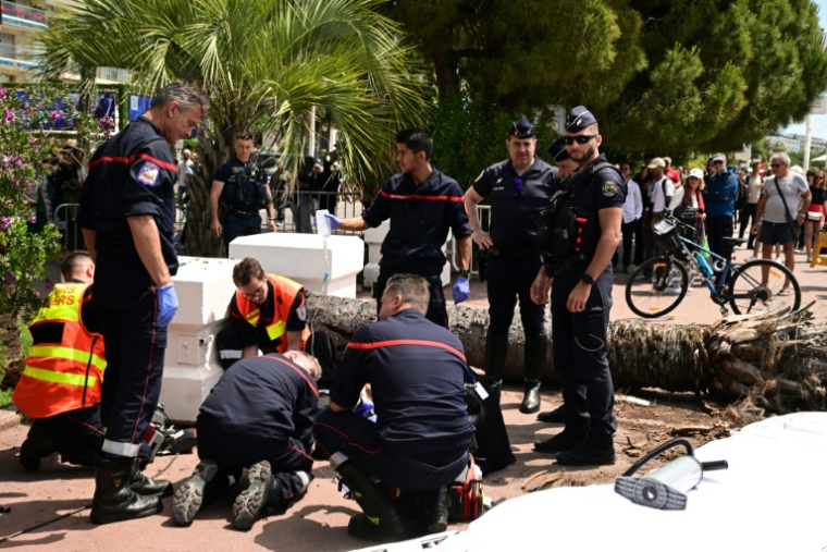Des pompiers portent secours à un passant blessé après la chute d'un palmier sur la Croisette pendant le 78e Festival de Cannes, le 17 mai 2025 dans le sud de la France ( AFP / Miguel MEDINA )