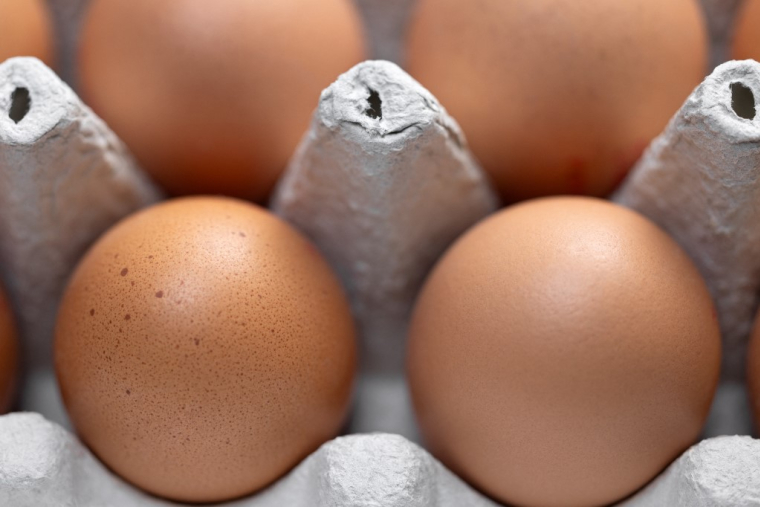 ( AFP / JOEL SAGET )