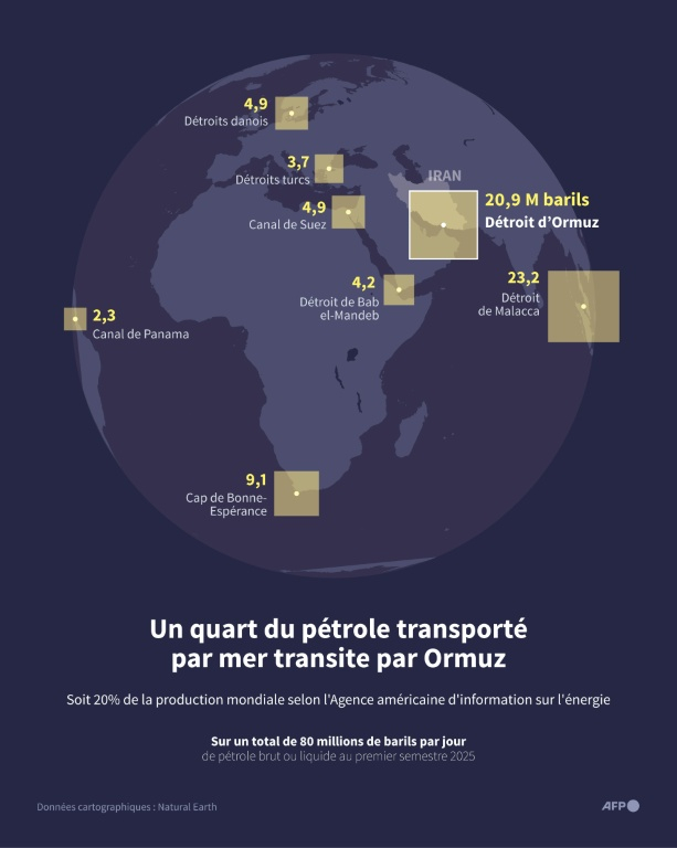 Globe terrestre montrant le volume quotidien de pétrole brut ou produits pétroliers liquides transitant par les différents points de passage du transport maritime mondial, et notamment par le détroit d'Ormuz, au Moyen-Orient, selon l'Agence américaine d'information sur l'énergie au premier semestre 2025 ( AFP / Guillermo RIVAS PACHECO )