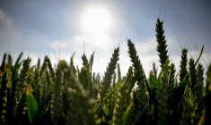 La France est devant "un mur d'investissements" en matière d'adaptation au changement climatique, selon la ministre française de la Transition écologique ( AFP / PHILIPPE HUGUEN )