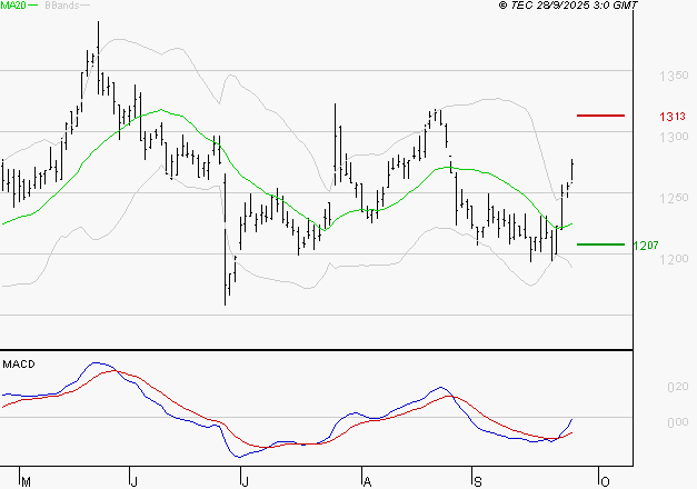 CARREFOUR SA : L'analyse ne suggère pas de baisse à moyen terme