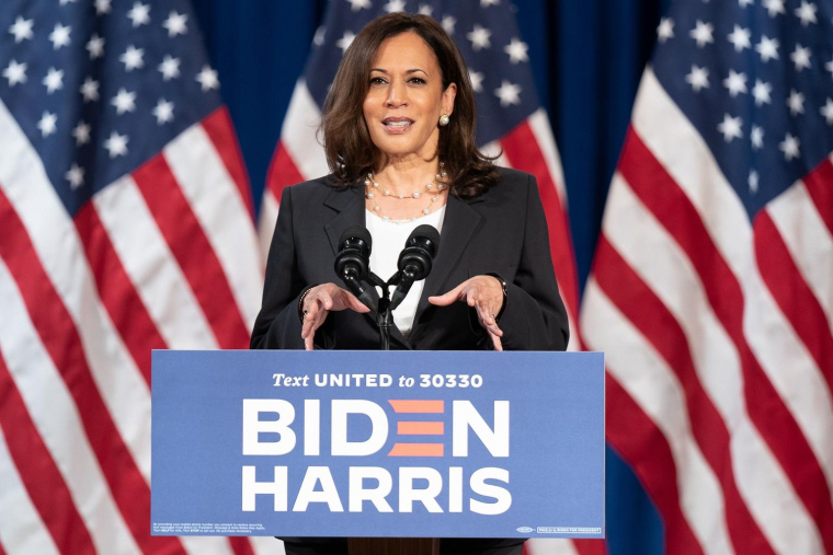 En devenant la première femme vice-présidente des Etats-Unis, Kamala Harris fait une entrée remarquée dans l’histoire de ce pays. crédit photo : Shutterstock