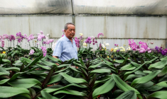 Lee Tsang-yu, un horticulteur taiwanais, inspecte ses orchidées le 5 août 2025 à Houbi, dans le sud-ouest de Taïwan ( AFP / I-Hwa Cheng )