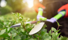 Le printemps est la saison idéale pour cultiver son jardin et se préparer un bel été. ( crédit photo : Shutterstock )