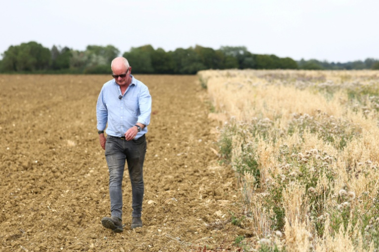 John Pawsey, agriculteur, dans ferme de Shimpling park à Bury St Edmunds (Est de l'Angleterre) dont les terres sont frappées par la très forte sécheresse qui touche le Royaume-Uni. Photo prise le 4 août 2026 ( AFP / Toby Shepheard )