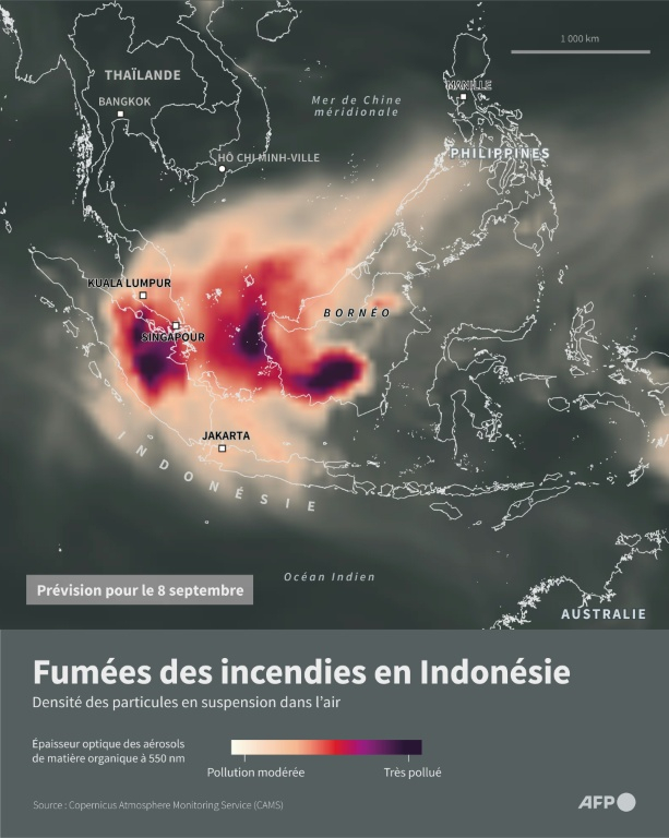 Carte montrant les fumées prévues le 8 septembre au dessus de l'île de Bornéo et l'Asie du Sud Est, selon les données d'aérosols de matière organique du service européen Coperncus de surveillance de l'atmosphère (Cams) ( AFP / Nicholas SHEARMAN )