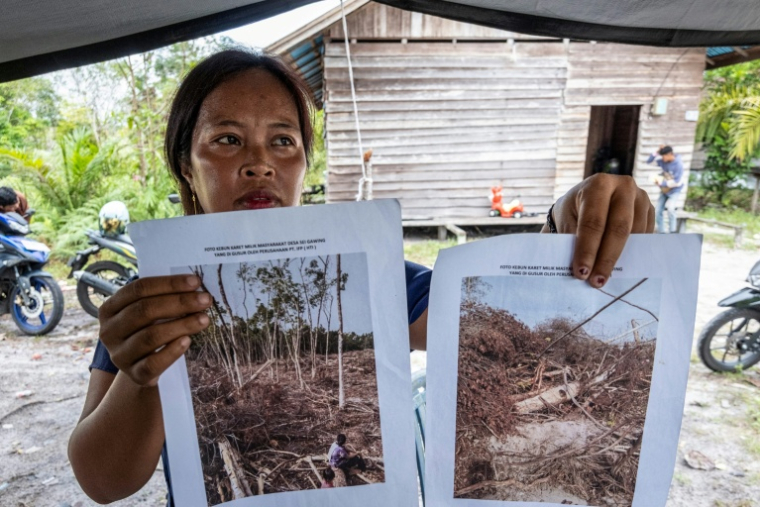 Ika Magdalena du village de Sei Gawing montre des photos des terres qu'elle cultivait avant leur destruction pour des plantations dans la régence de Kapuas du Kalimantan central, le 12 février 2026 en Indonésie ( AFP / BAY ISMOYO )