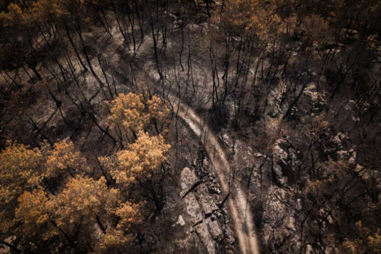 Vue aérienne d'une zone touchée par un incendie dans la forêt de Fontainebleau, à Noisy-sur-École, en Île-de-France, le 30 juillet 2026 ( AFP / Simon WOHLFAHRT )