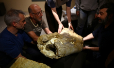 Des paléontologues installent un morceau de fémur d'un camarasaure, pour l'exposition "Chercheurs de Dinos" au musée d'Angoulême, le 22 mai 2026 en Charente ( AFP / Christophe ARCHAMBAULT )