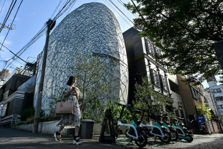 Une maison aux formes ovoïdes enveloppée de cordes bleues par Hajime Kinoko, l'un des plus connus artistes japonais de "shibari", l'art des cordes, le 24 juillet 2025 à Tokyo ( AFP / Richard A. Brooks )