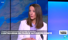 Controverse autour du Comté : l'impact environnemental du fromage en question