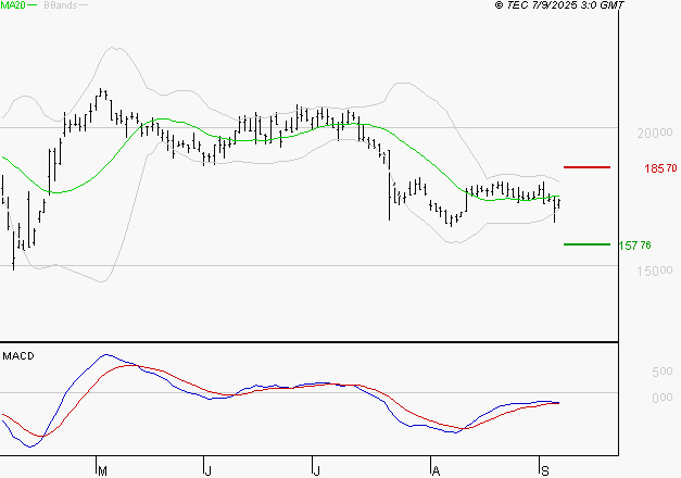 SARTORIUS STEDIM BIOTECH : Attendre un test du support
