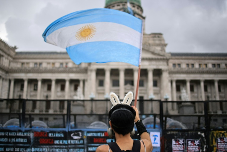 Manifestation pour la défense de l'université publique face à l'austérité budgétaire du gouvernement Milei, le 15 octobre 2026 à Buenos Aires, en Argentine ( AFP / Emiliano Lasalvia )