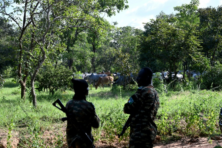 Des gardes-forestiers de l'Office ivoirien des Parcs et des Réserves (OIPR), kalachnikov au côté, veillent sur le parc national de la Comoè, dans le nord-est de la Côte d'Ivoire, un des plus grands d'Afrique de l'Ouest, le 13 octobre 2025. ( AFP / Issouf SANOGO )