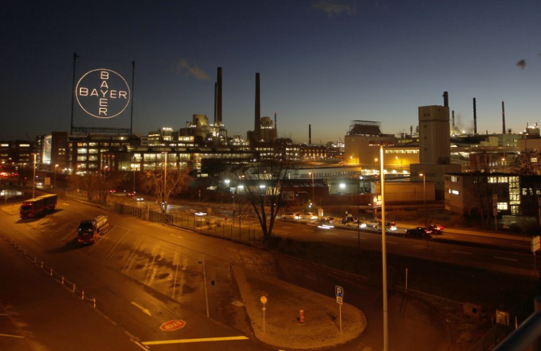 KWS PRÉSENTE UNE OFFRE POUR LES SEMENCES POTAGÈRES DE BAYER