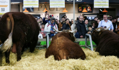 Au Salon de l'Agriculture, Porte de Versailles à Paris, le 22 février 2025 ( POOL / ALAIN JOCARD )