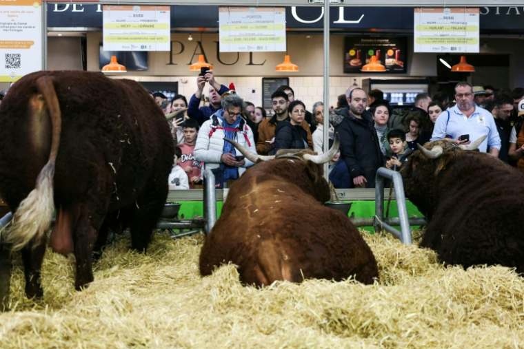Au Salon de l'Agriculture, Porte de Versailles à Paris, le 22 février 2025 ( POOL / ALAIN JOCARD )