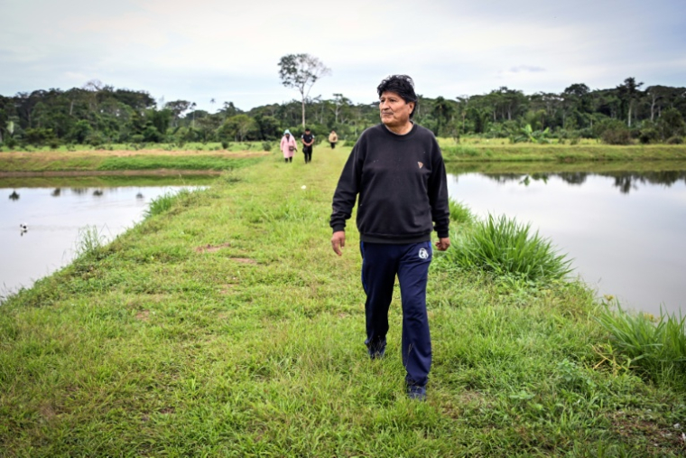 L'ex-président bolivien Evo Morales, à Villa Victoria en Bolivie, le 24 juin 2026 ( AFP / MARTIN BERNETTI )