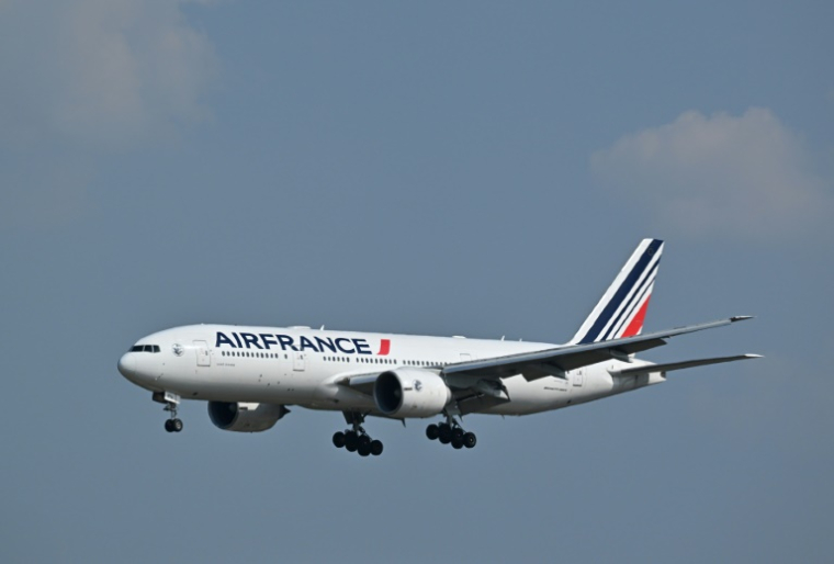 Un steward a porté plainte contre Air France pour des blessures involontaires qui résulteraient du "syndrome aérotoxique" ( AFP / ADEK BERRY )