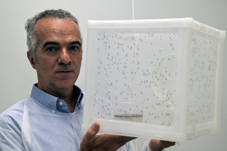 Le scientifique brésilien Luciano Moreira à Curitiba, au Brésil, le 19 mars 2026 ( AFP / Nelson ALMEIDA )