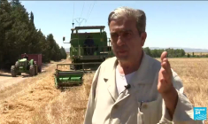 La Tunisie cherche l'autosuffisance en blé dur