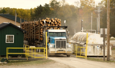 Un camion transportant des grumes de bois à la scierie Pleasant River Lumber à Enfield, dans le Maine, le 13 octobre 2026, aux Etats-Unis ( AFP / CHARLY TRIBALLEAU )