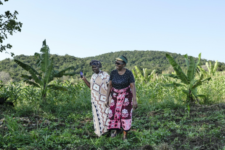 Domitila Mueni (G), trésorière de l'Association de Mrima Hill, rend visite à une voisine près de la colline boisée de Mrima hill, à Lunga-Lunga, dans le sud-est du Kenya près de la frontière tanzanienne, le 26 septembre 2025 ( AFP / Tony KARUMBA )