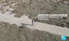 Chasseurs : ennemis ou alliés de la biodiversité ?