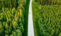 Le prix des bois et forêts est en hausse pour la deuxième année consécutive  (Crédit photo : 123RF)