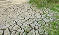 Les assureurs devraient dépenser 43 milliards d'euros entre 2020 et 2050 pour indemniser les dégâts liés à al sécheresse. Photo d'illustration.  (jodylehigh  Pixabay)