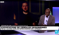 Céréales ukrainiennes : fin de l'accord, quelles répercussions sur l'Afrique ?