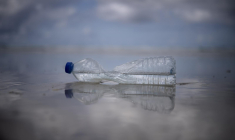 ( AFP / FRED TANNEAU )