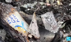 Attaque d'un convoi humanitaire par Israël : l'enquête australienne pointe de "sérieuses défaillances"