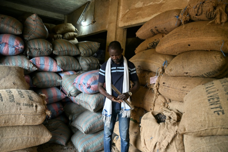 Le gérant d'une coopérative agricole inspecte les stocks de cacao dans un entrepôt à Aboisso, dans le sud ivoirien, le 17 mars 2026 ( AFP / Sia KAMBOU )