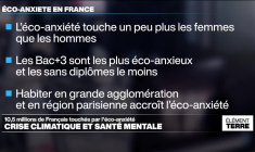 Crise climatique : des millions de Français touchés par l'éco-anxiété