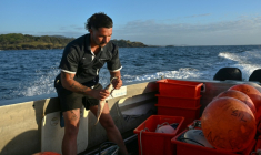 Charlie Kerr, membre du programme de surveillance des requins, prépare des lignes équipées d'hameçons appâtés reliées à des bouées connectées, le 10 novembre 2025 près de Coffs Harbour, en Nouvelle-Galles du Sud, en Australie ( AFP / Saeed KHAN )