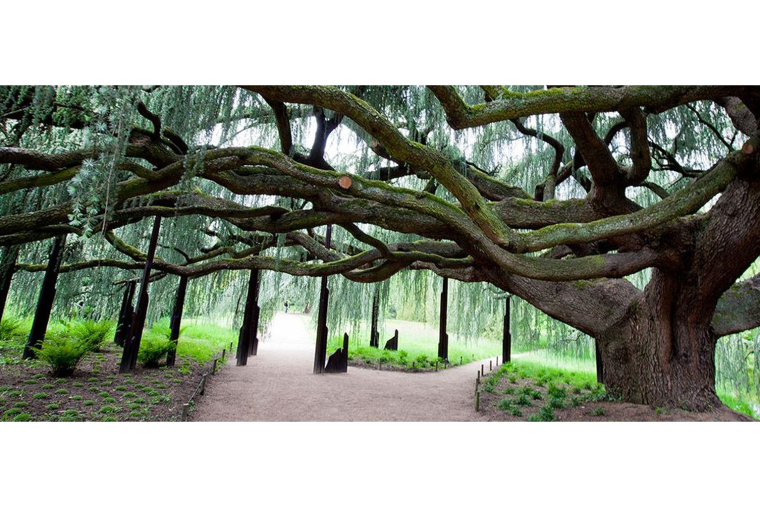 Coup de projecteur sur 5 jardins remarquables d'Ile-de-France. Crédit photo : https://vallee-aux-loups.hauts-de-seine.fr/l-arboretum/histoire-et-botanique