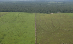 BRÉSIL: LA DÉFORESTATION EN AMAZONIE ATTEINT UN RECORD AU PREMIER SEMESTRE 2022