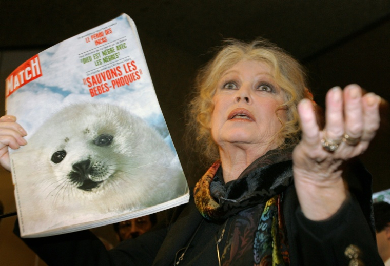 Brigitte Bardot tient une ancienne couverture de Paris Match sur le sauvetage des bébés phoques, le 5 décembre 2005 à Genève  ( AFP / Fabrice COFFRINI )