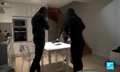 Libération animale : l'activisme des antispécistes