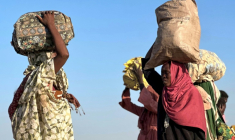 Des déplacés soudanais qui ont quitté El-Fasher arrivent à Tawila, le 28 octobre 2025, au Soudan ( AFP / - )