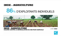 Les agriculteurs indiens contre la libéralisation de leur secteur