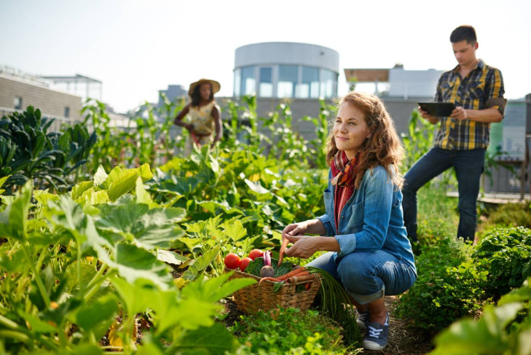 Les fermes urbaines se développent - iStock-julief514