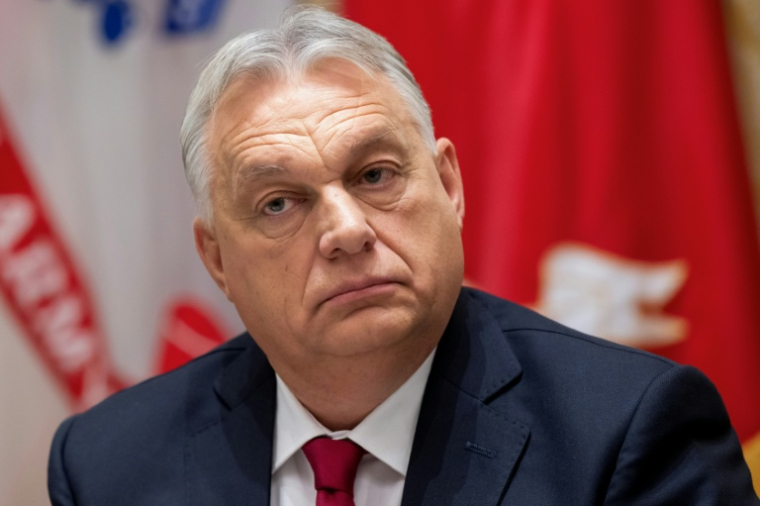 Le Premier ministre hongrois Viktor Orban le 7 novembre 2025, à Washington, aux Etats-Unis ( AFP / SAUL LOEB )