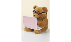 Sécuritéinformatique : 800 000 peluches connectées piratées
