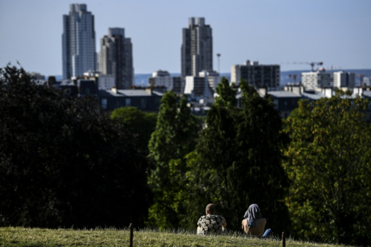 Vue sur Paris depuis le haut du parc des Buttes-Chaumont, le 23 juin 2020 ( AFP / Christophe ARCHAMBAULT )
