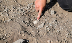 Photo non datée, diffusée par l'Institut des origines humaines de l'Université d'État de l'Arizona, montrant une partie de la mâchoire juvénile de l'Australopithecus deyiremeda, un ancien parent de l'homme, découverte dans la région Afar, en Éthiopie ( Institut des origines humaines de l'Université d'État de l'Arizona / Stephanie MELILLO )