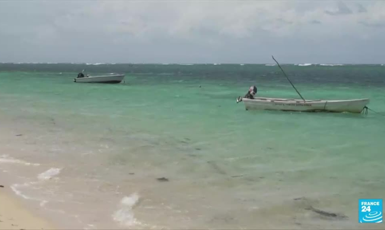 Journée mondiale de l'océan : au Kenya, une ONG replante des coraux